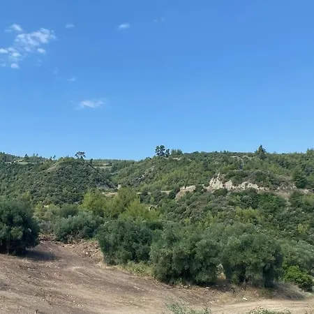 Elias Πολύχρονο